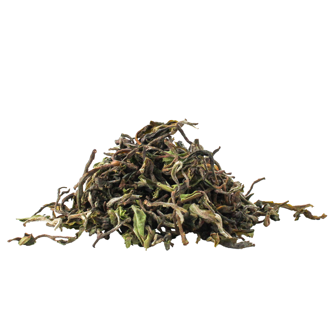 2025年 ダージリンファーストフラッシュ ジッダパハール茶園 30g